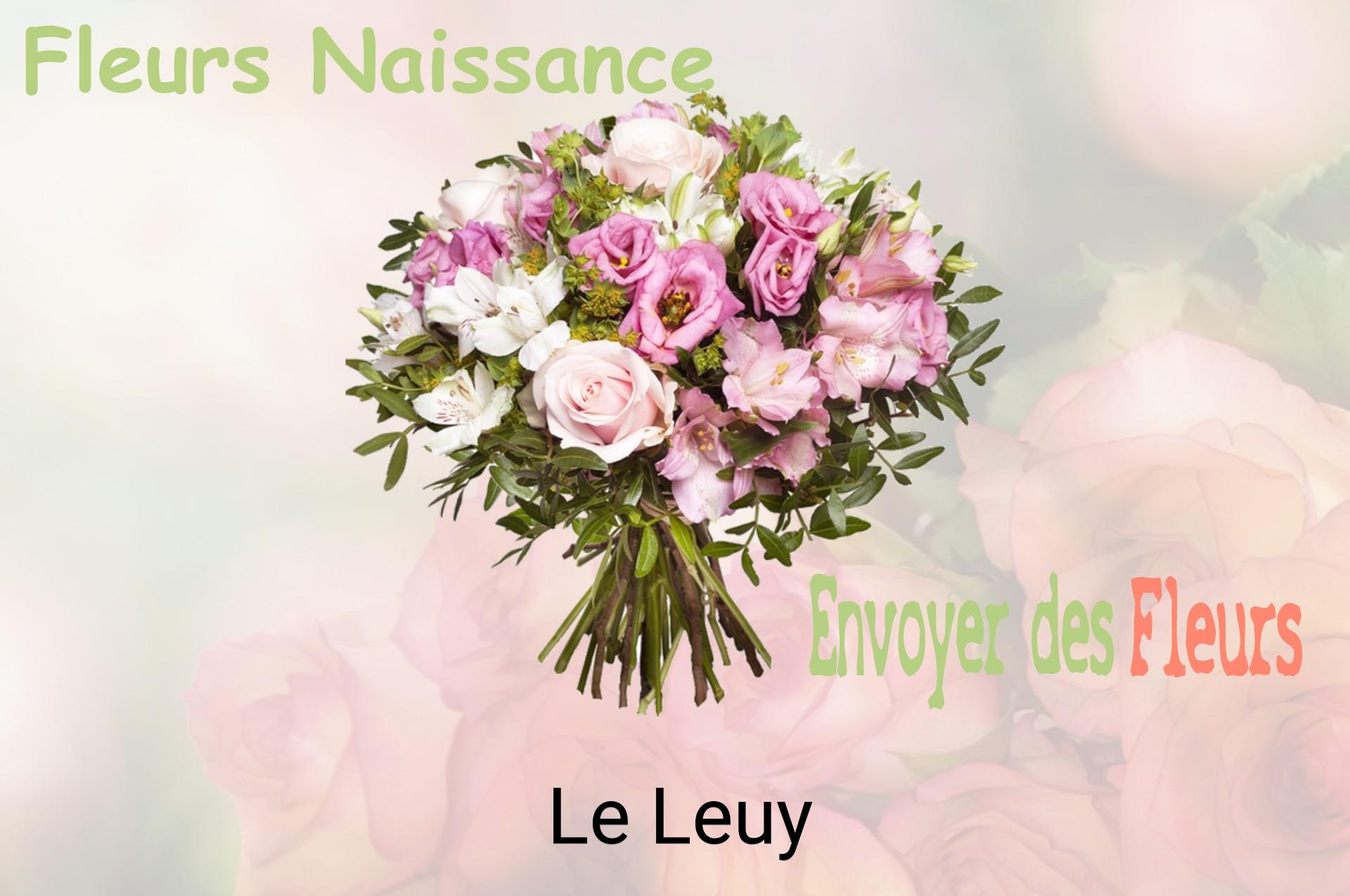 Bouquet de fleurs de naissance livré à Le Leuy